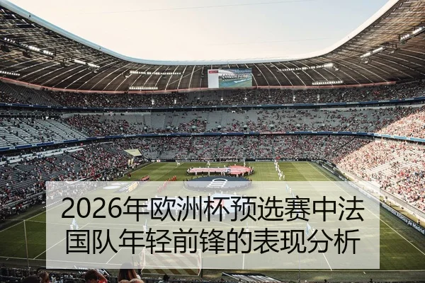 2026年欧洲杯预选赛中法国队年轻前锋的表现分析