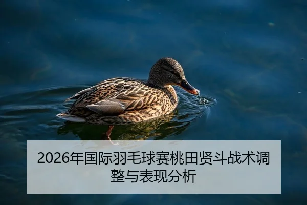 2026年国际羽毛球赛桃田贤斗战术调整与表现分析