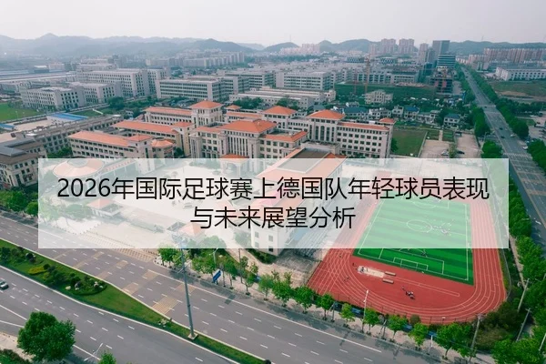 2026年国际足球赛上德国队年轻球员表现与未来展望分析