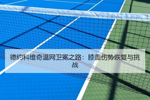 德约科维奇温网卫冕之路：膝盖伤势恢复与挑战