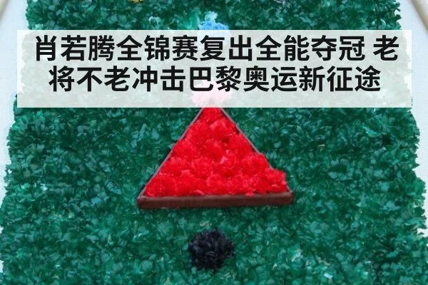 肖若腾全锦赛复出全能夺冠 老将不老冲击巴黎奥运新征途